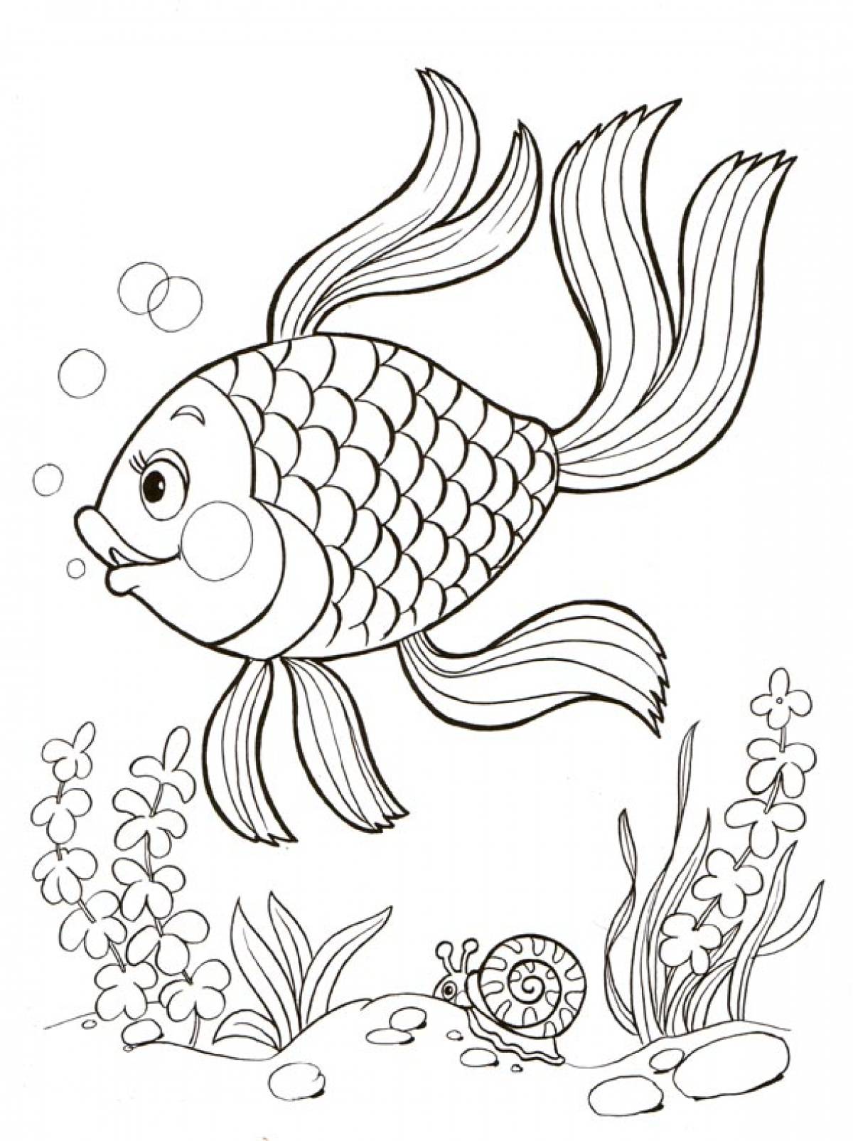 Раскраска Золотая рыбка #1