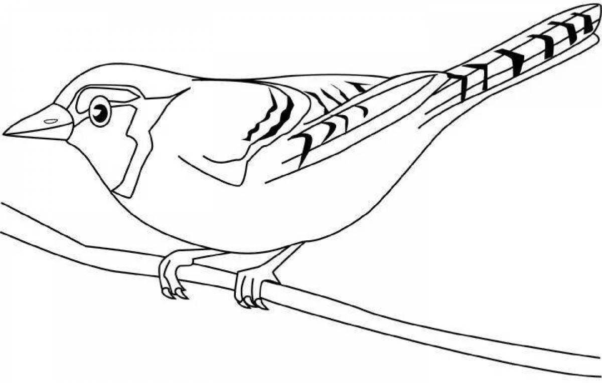 Radiant coloring page blackheaded