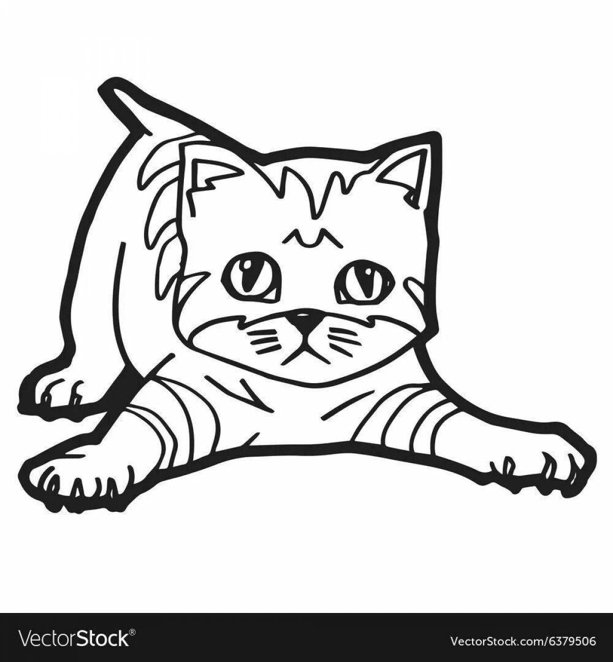 Раскраска дружелюбный шотландский кот
