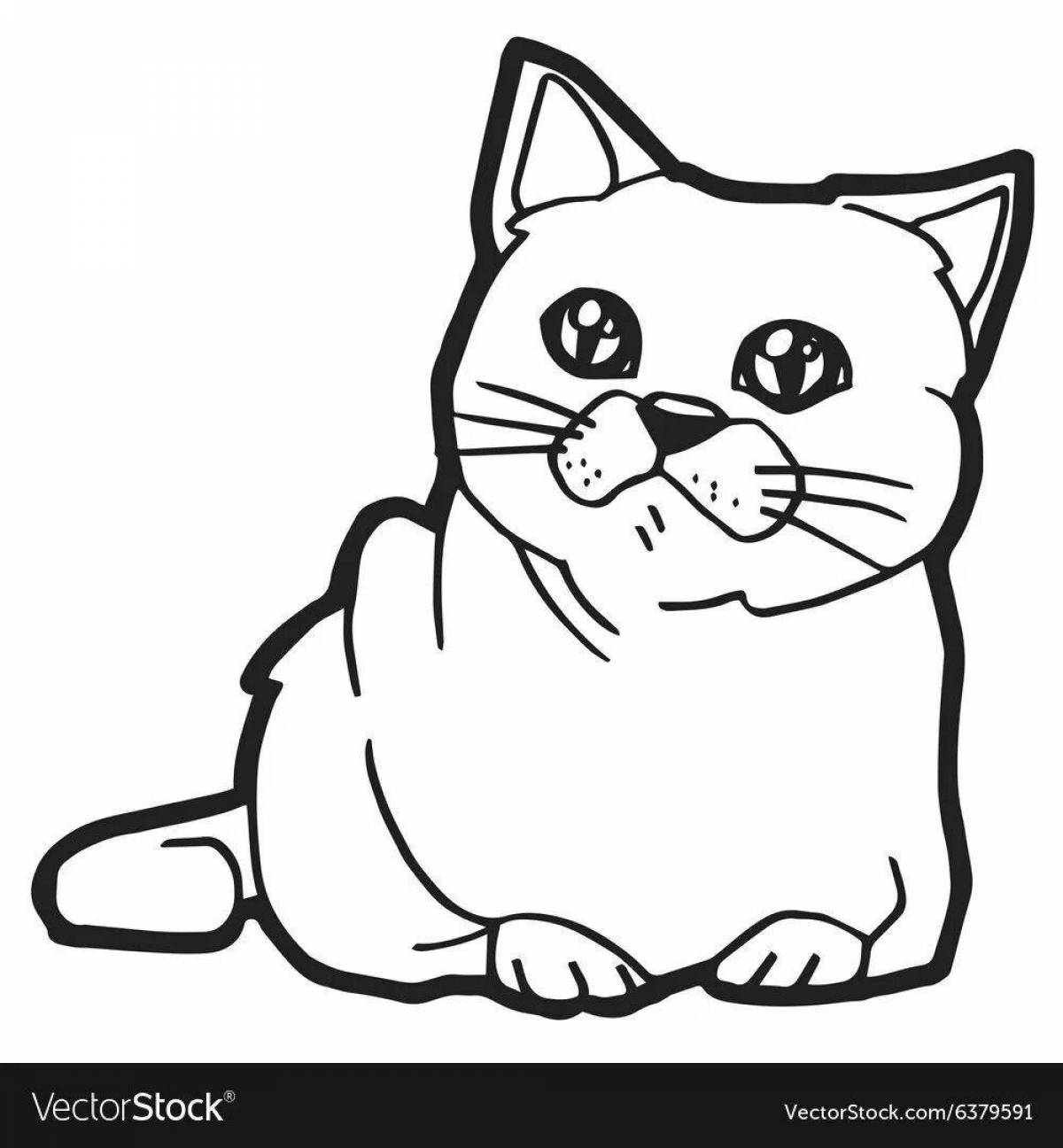 Раскраска любознательная шотландская кошка