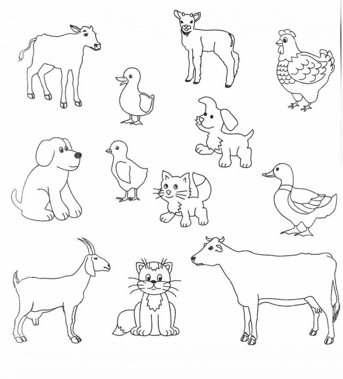 Восхитительная страница раскраски «найди домашних животных»