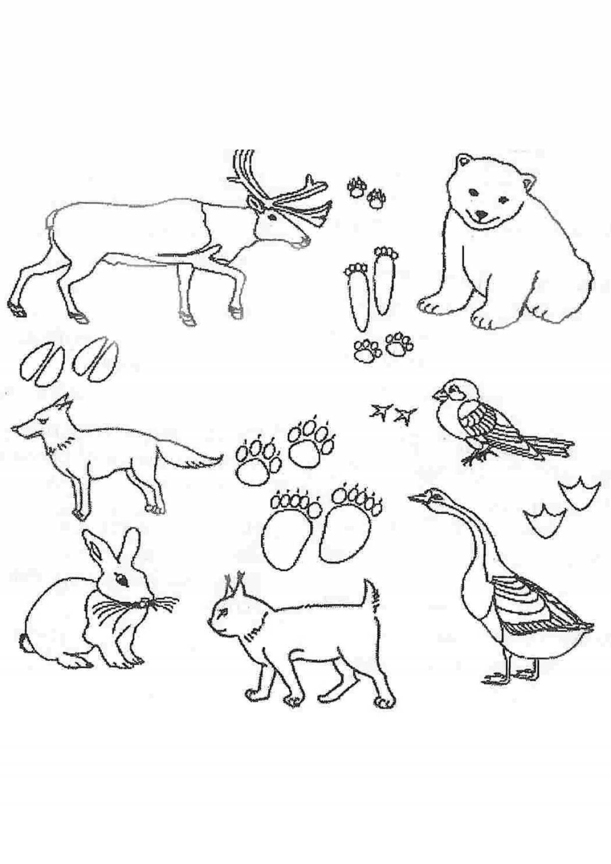 Забавная раскраска «найди домашних животных»