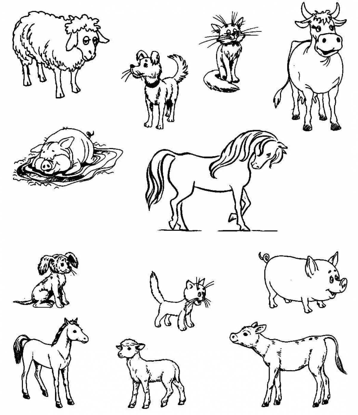 Сияющая страница раскраски «найди домашних животных»