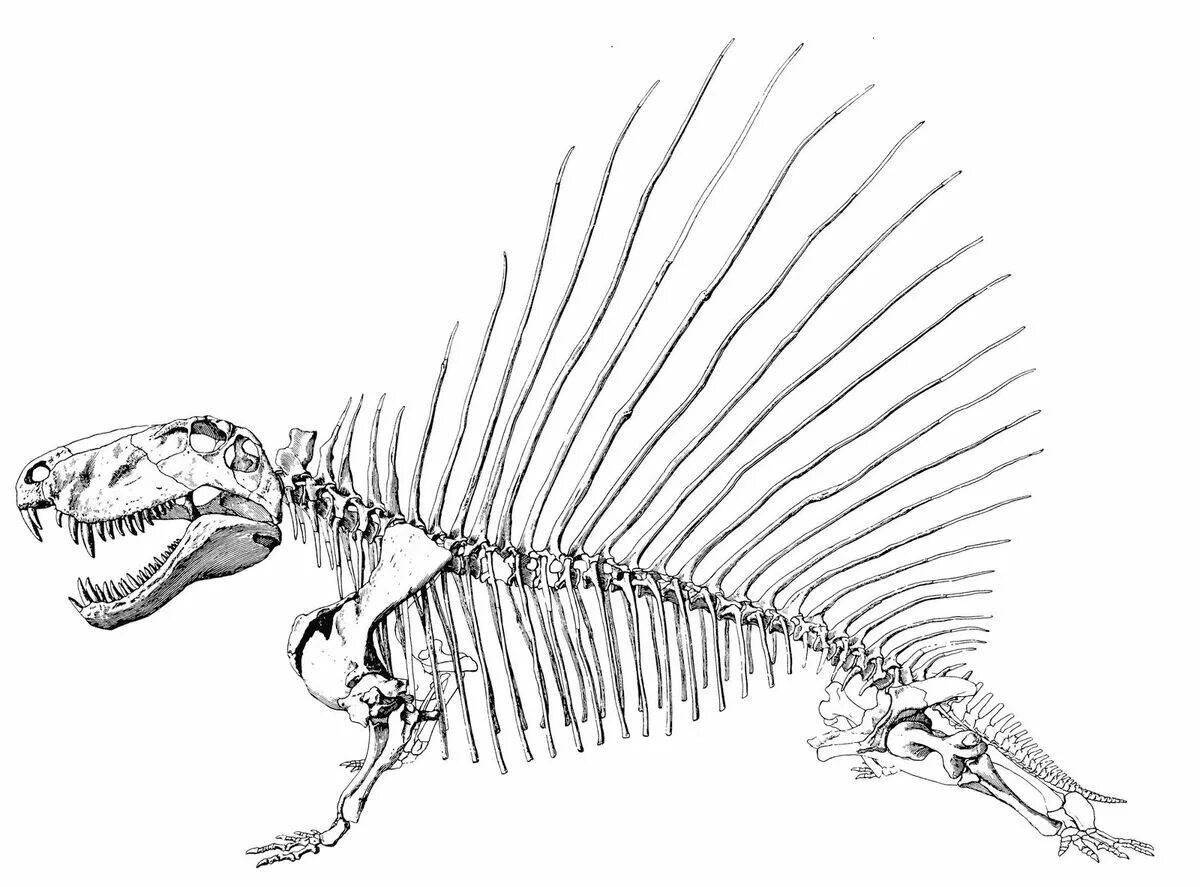 Очаровательная страница раскраски костей динозавров