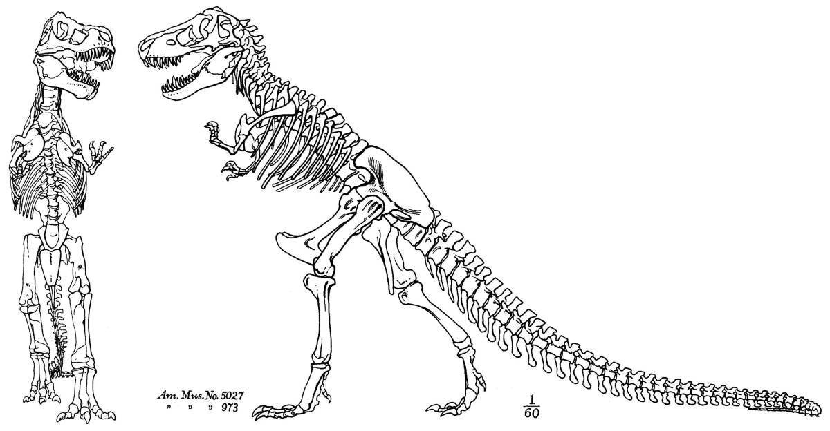 Раскраска кости экзотических динозавров