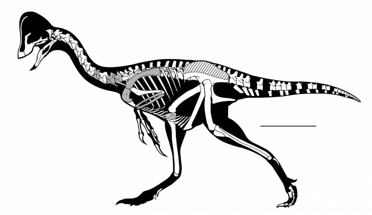 Раскраска кости динозавра