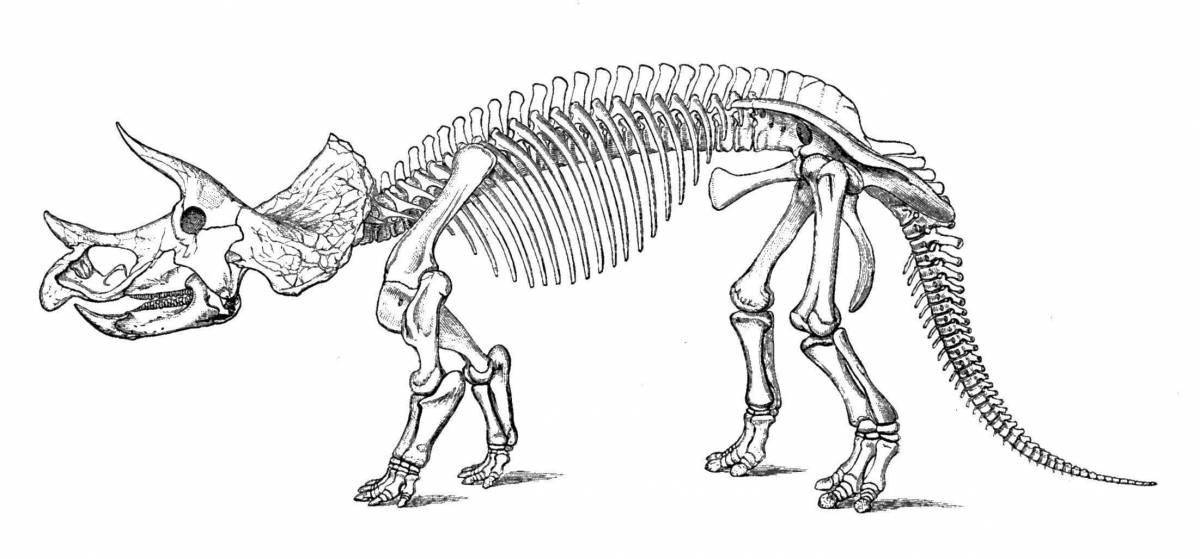 Раскраска величественные кости динозавра