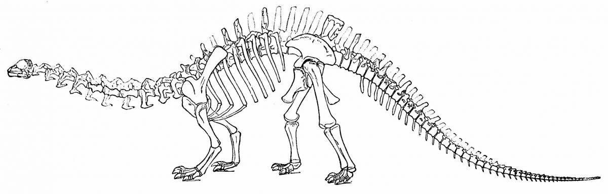 Раскраска потрясающие кости динозавра