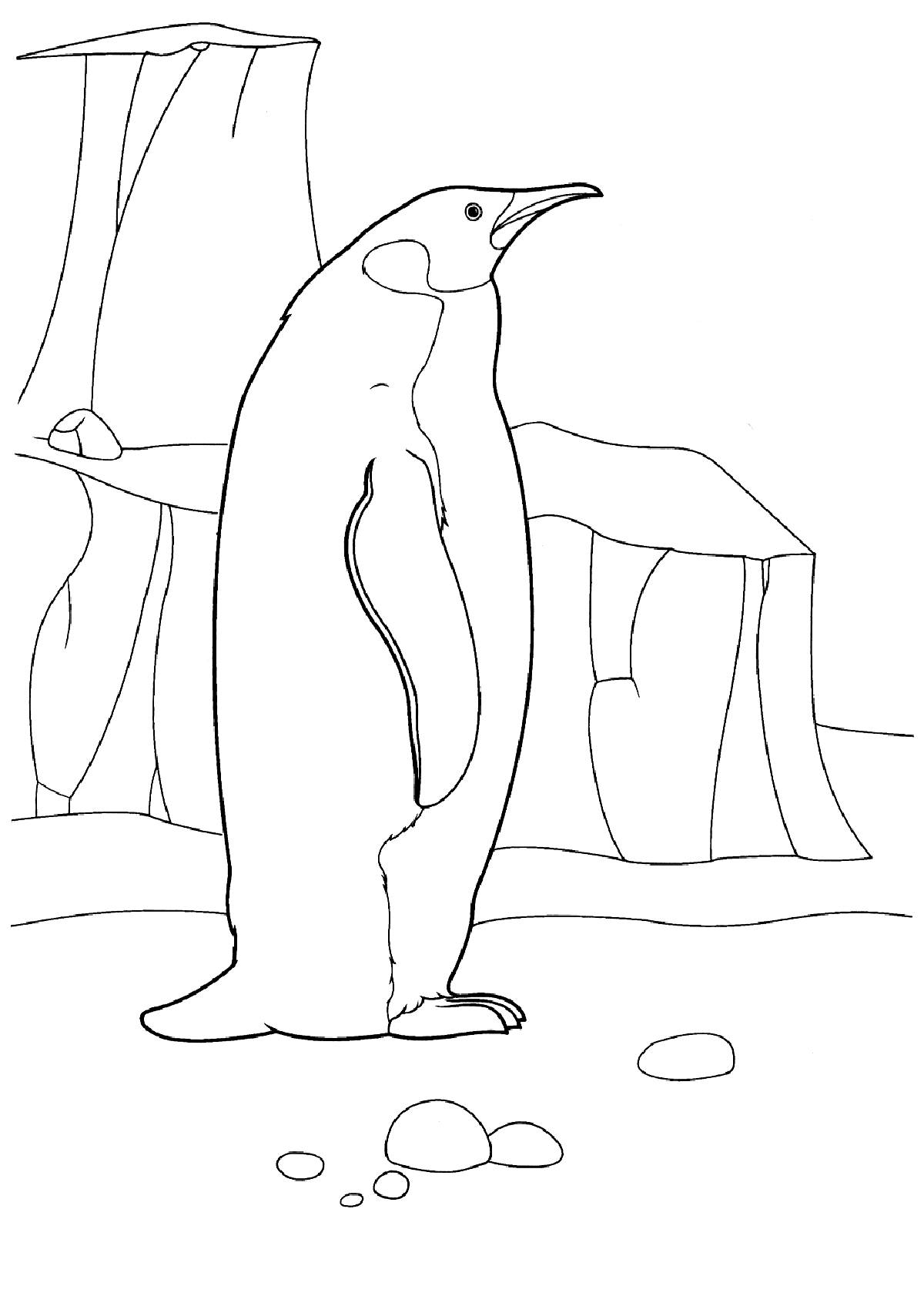 Одинокий пингвин