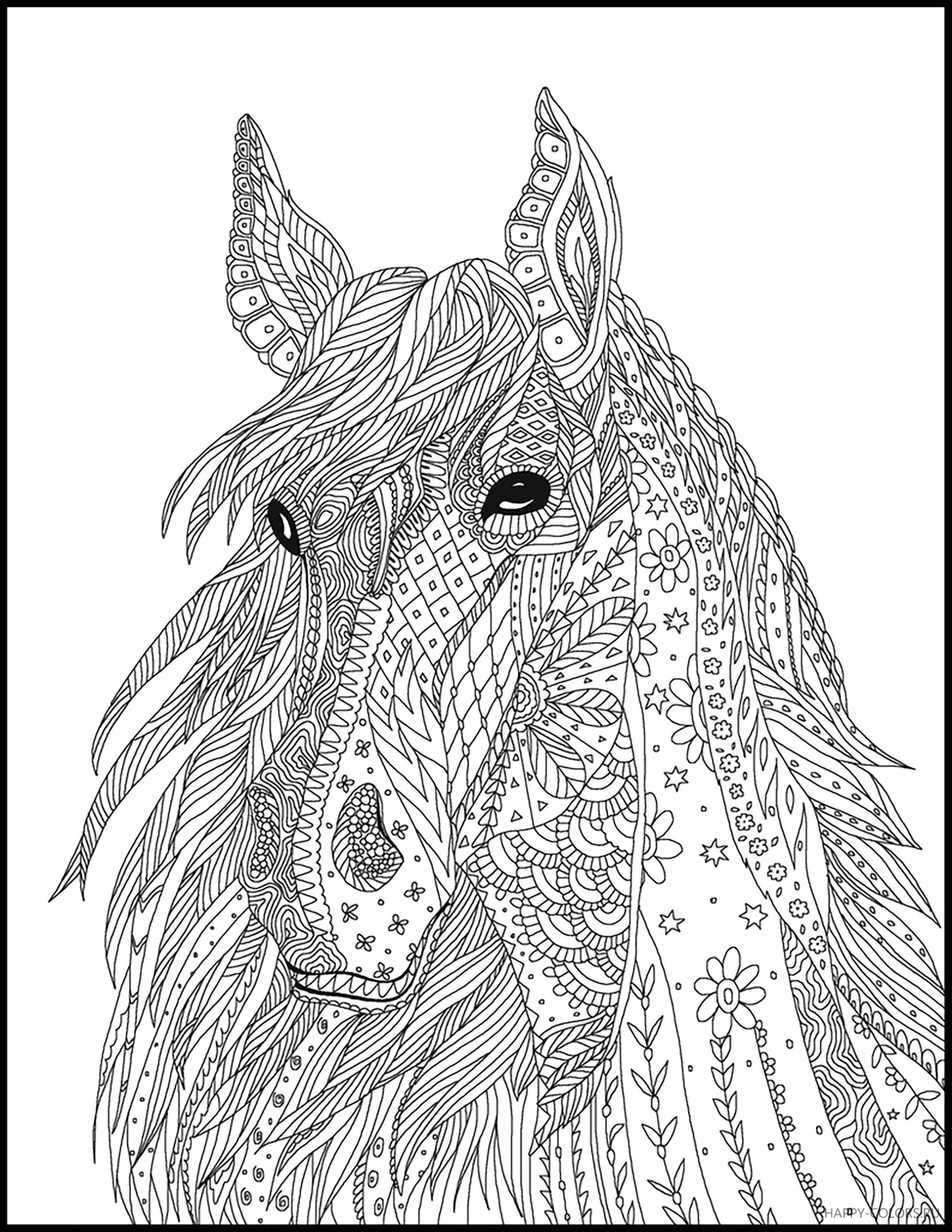 Раскраска Антистресс лошади #2