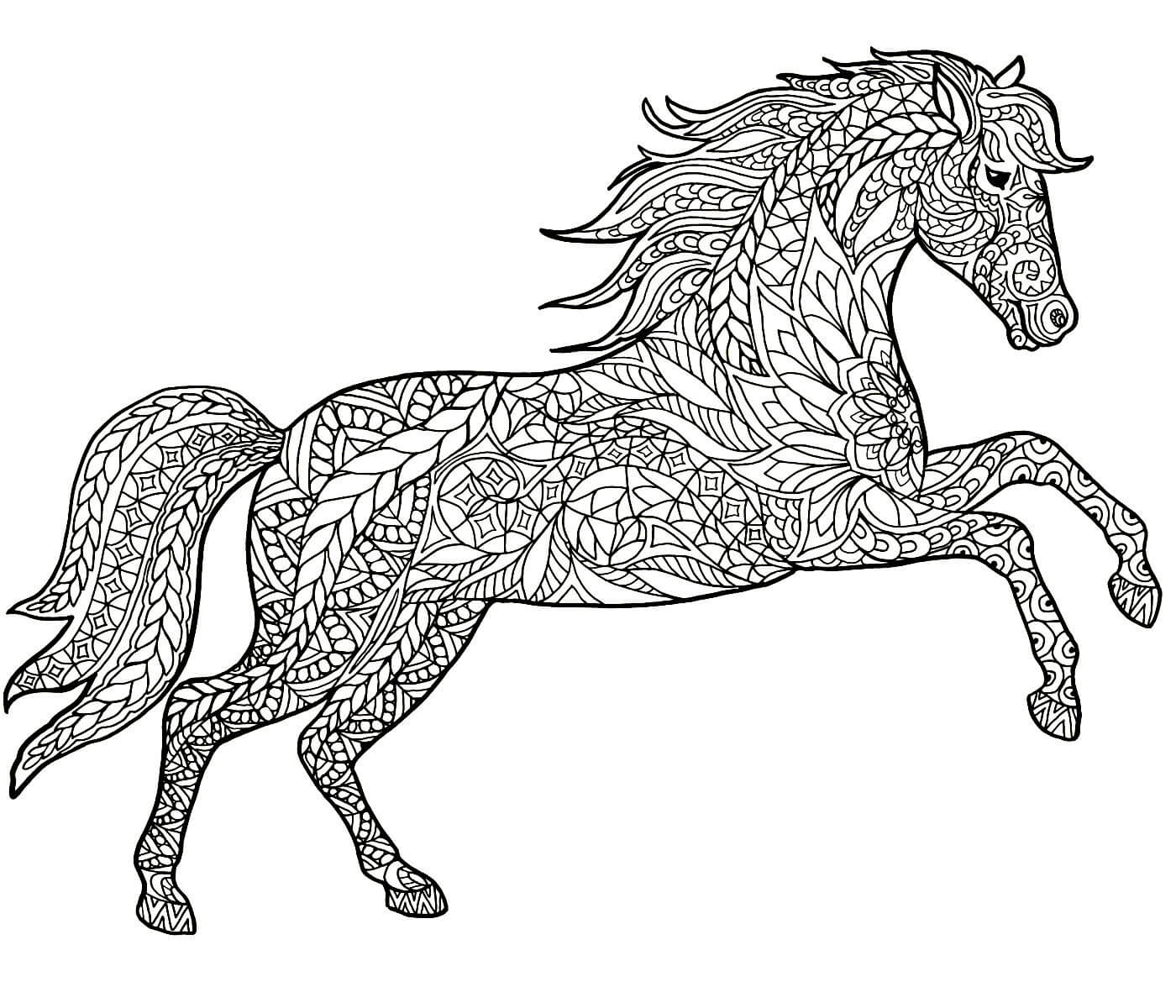 Раскраска Антистресс лошади #1