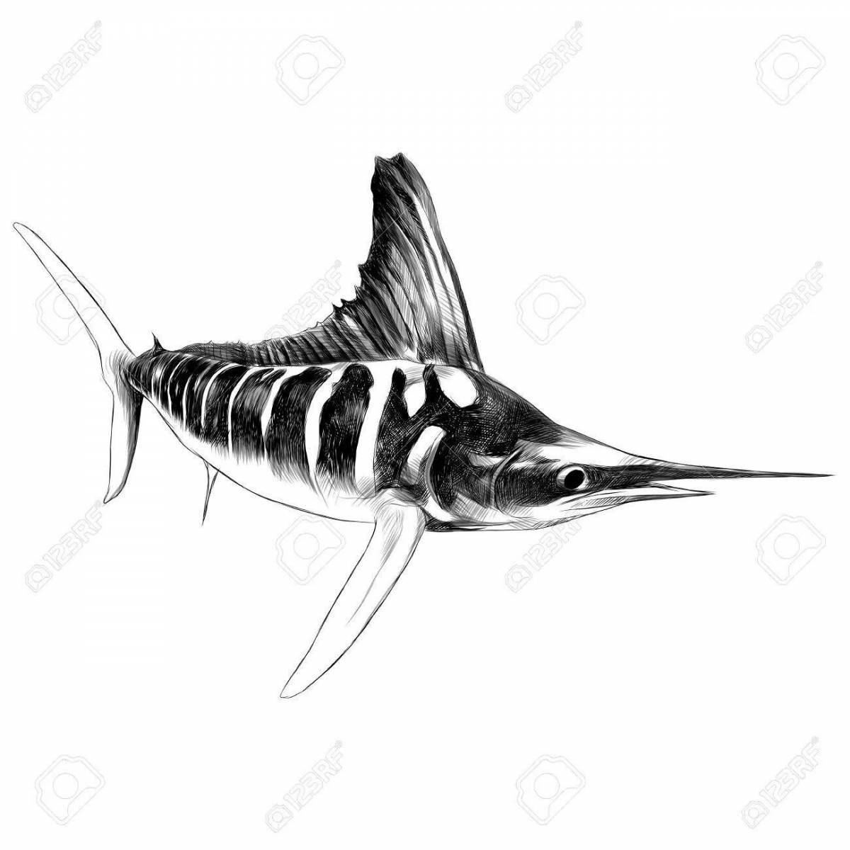 Раскраска прекрасная рыбка марлин