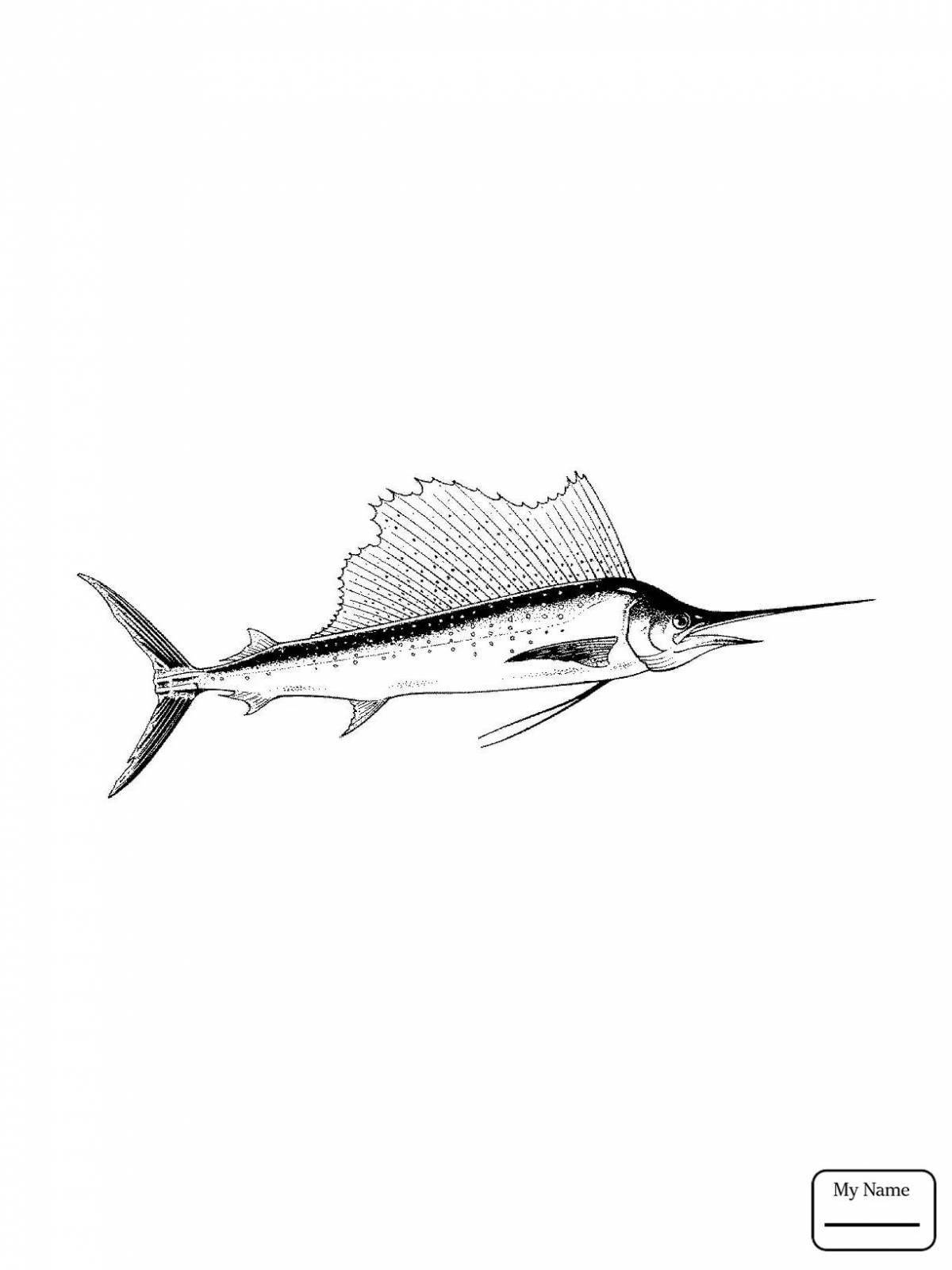 Буйная рыба-марлин раскраска