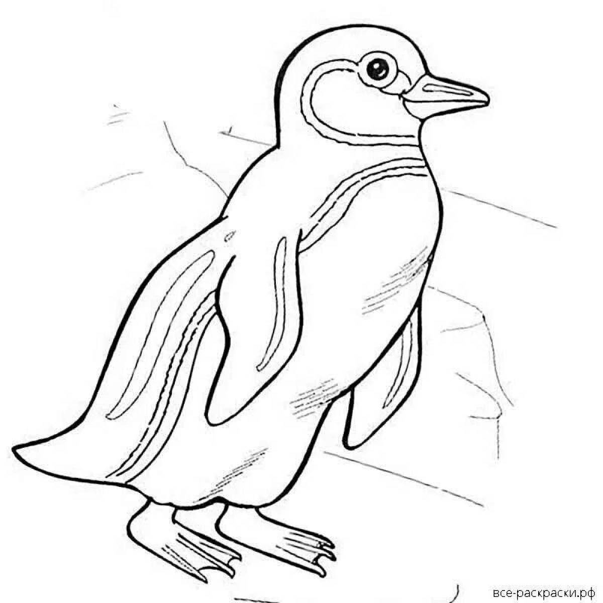 Красочная раскраска пингвины