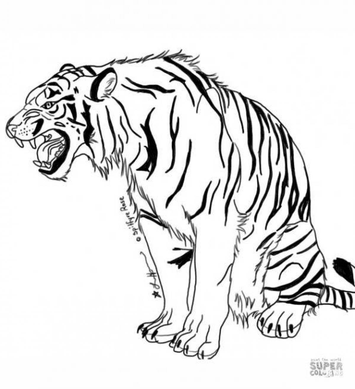 Раскраска большой тигр