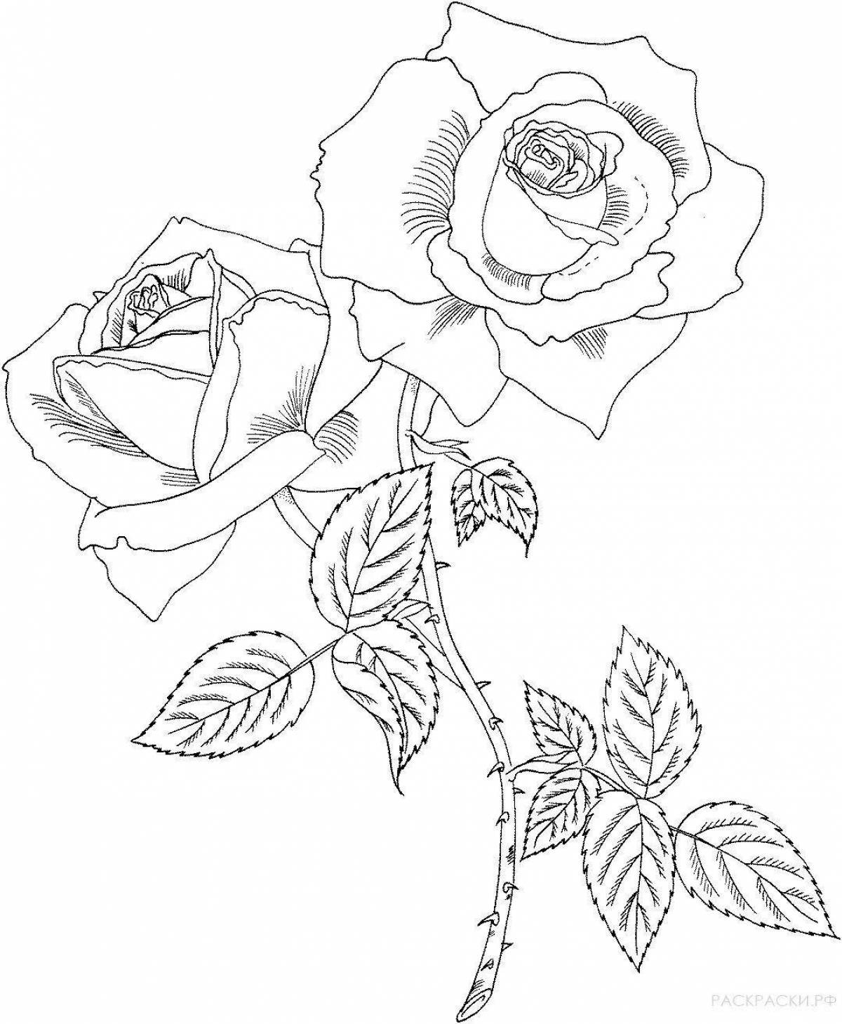 Очаровательные розы для раскрашивания страниц