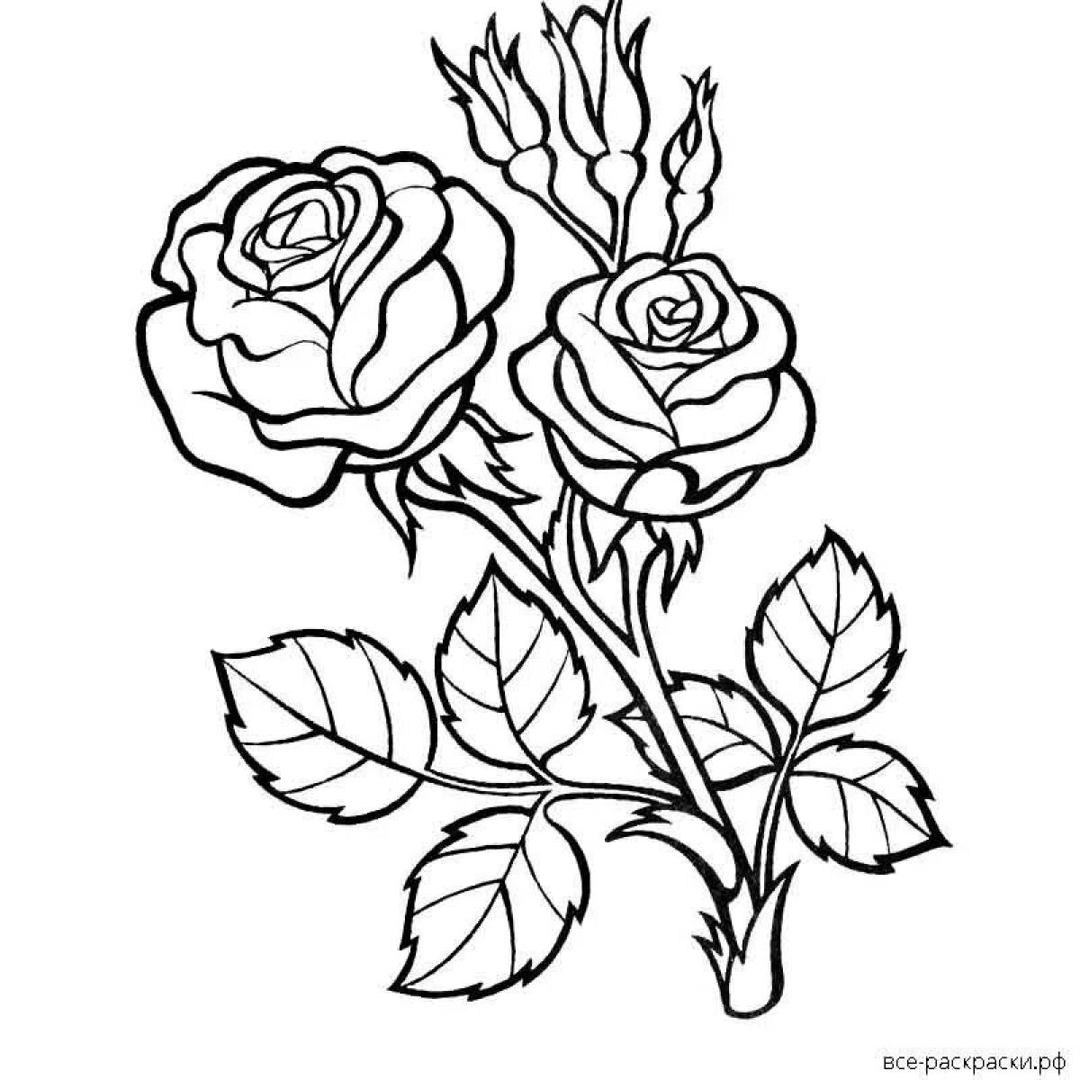 Розы красивые #9