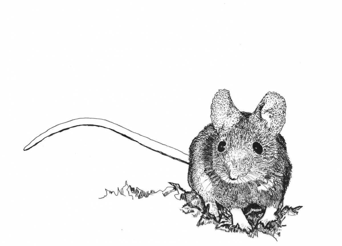 Очаровательная страница раскраски harvest mouse
