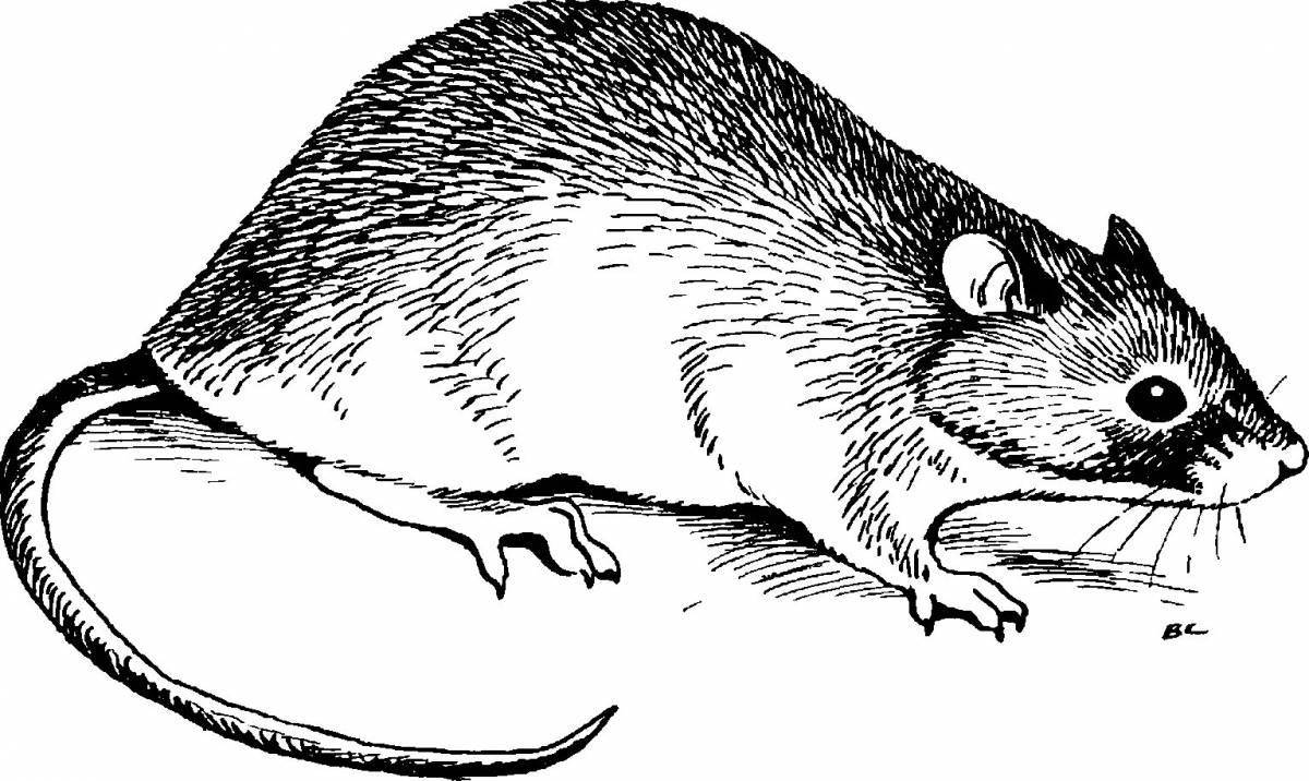 Раскраска очаровательная мышь урожая