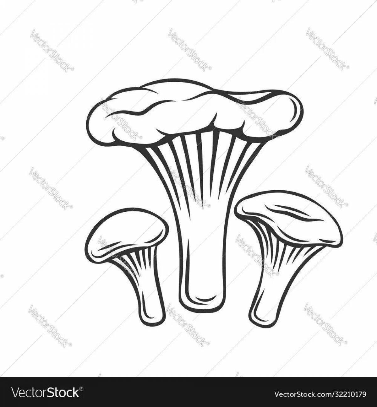 Увлекательная раскраска грибов лисичек