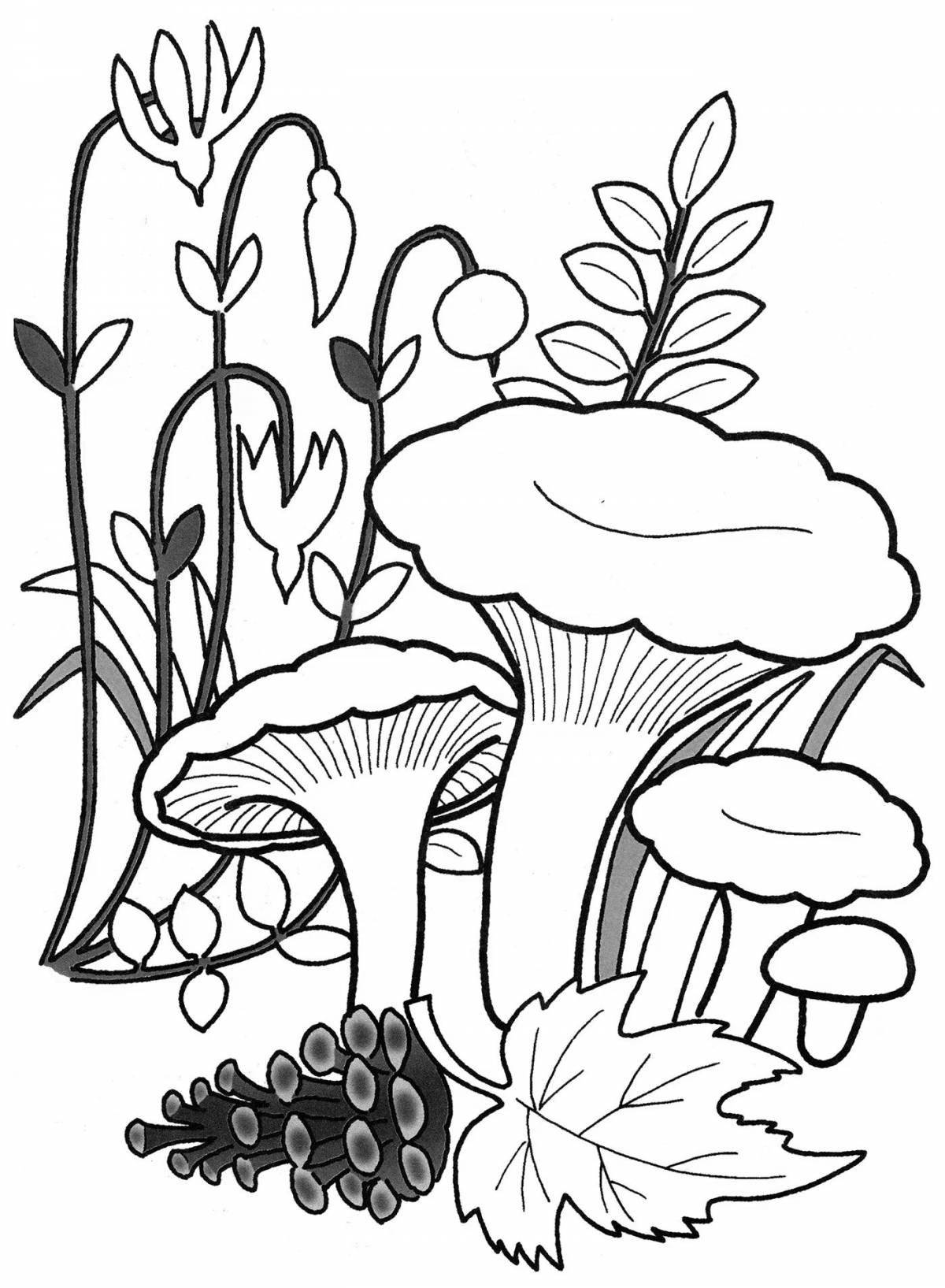 Раскраска сказочные грибы лисички