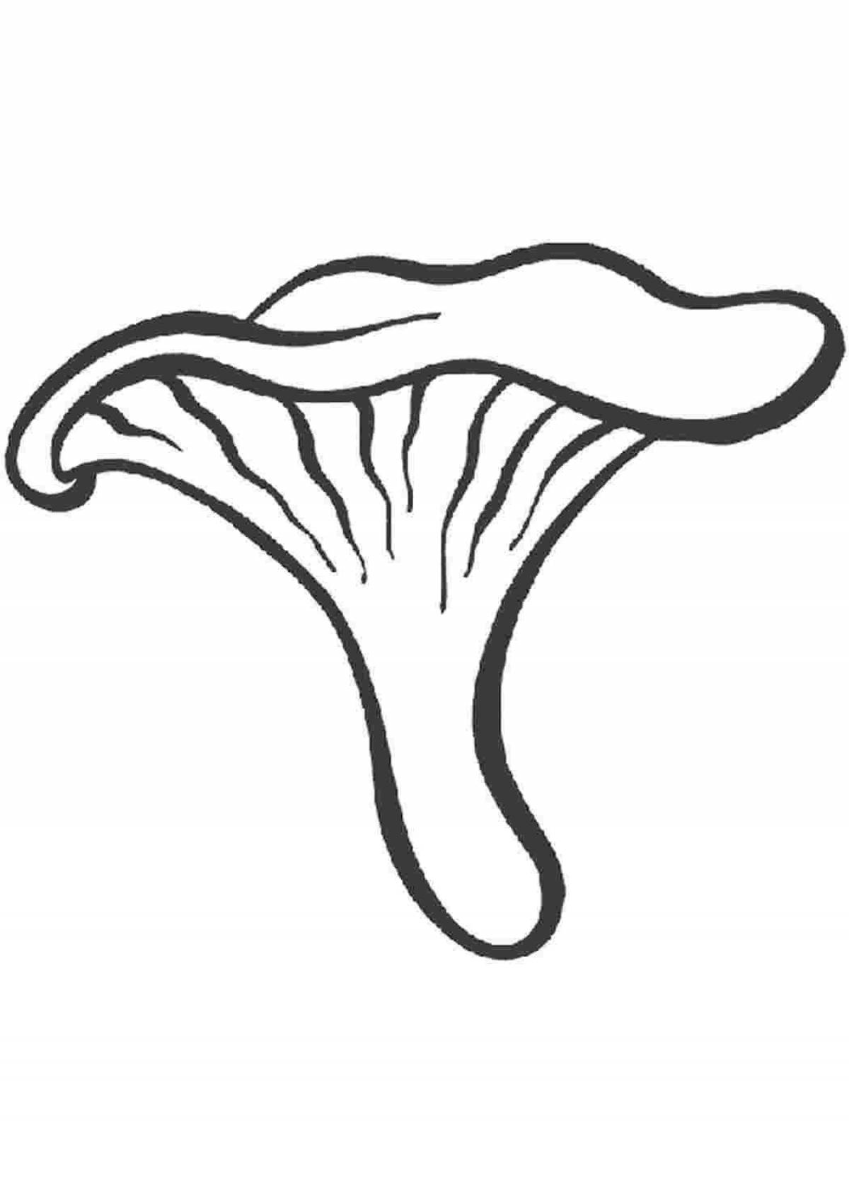 Раскраска великолепный гриб лисичка