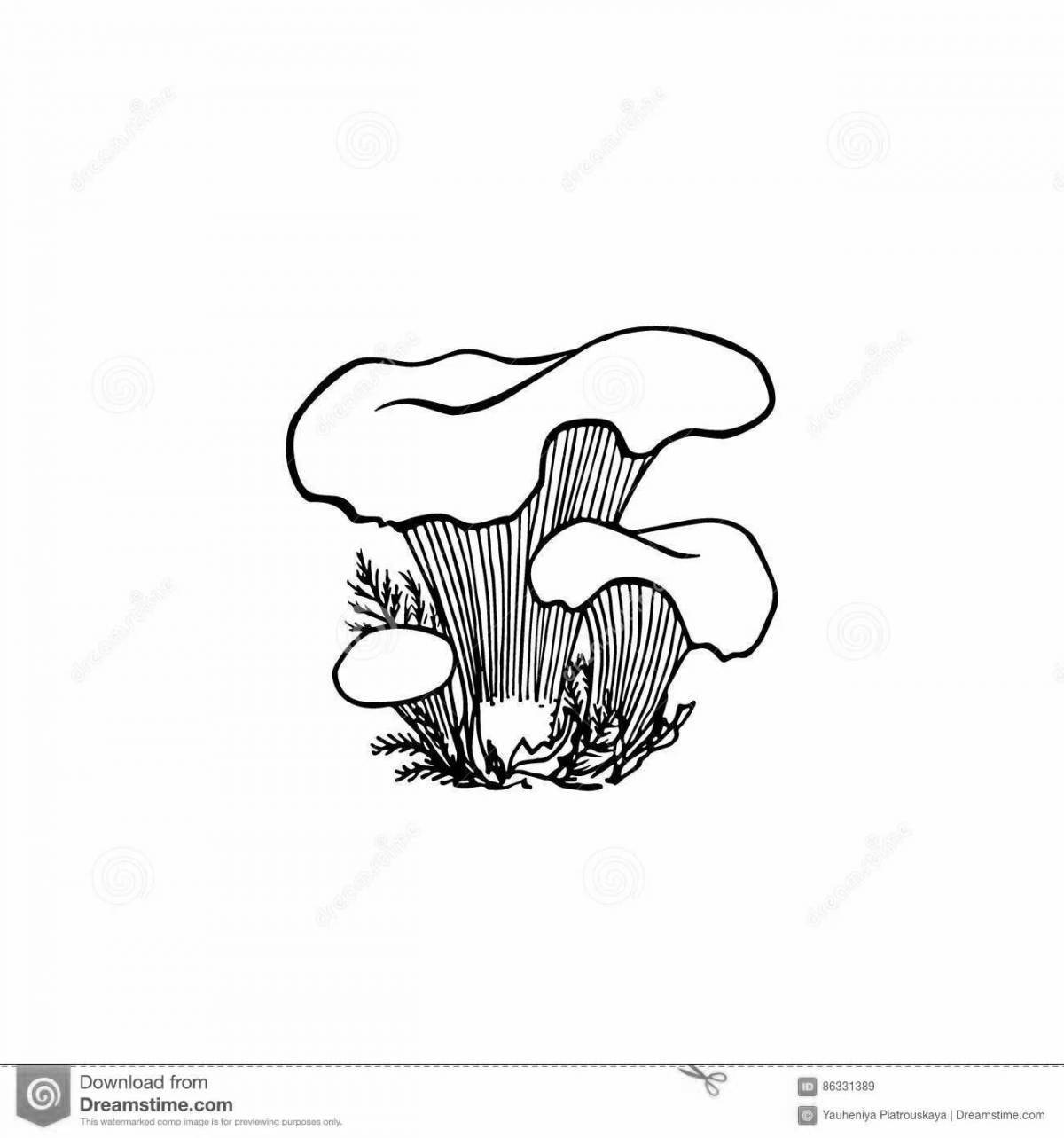 Раскраска смешной гриб лисички