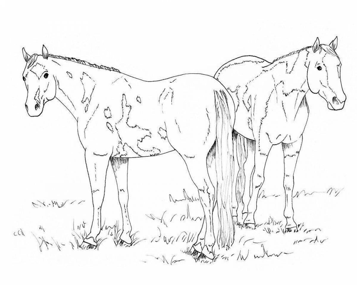 Яркая раскраска лошадь реалистичная