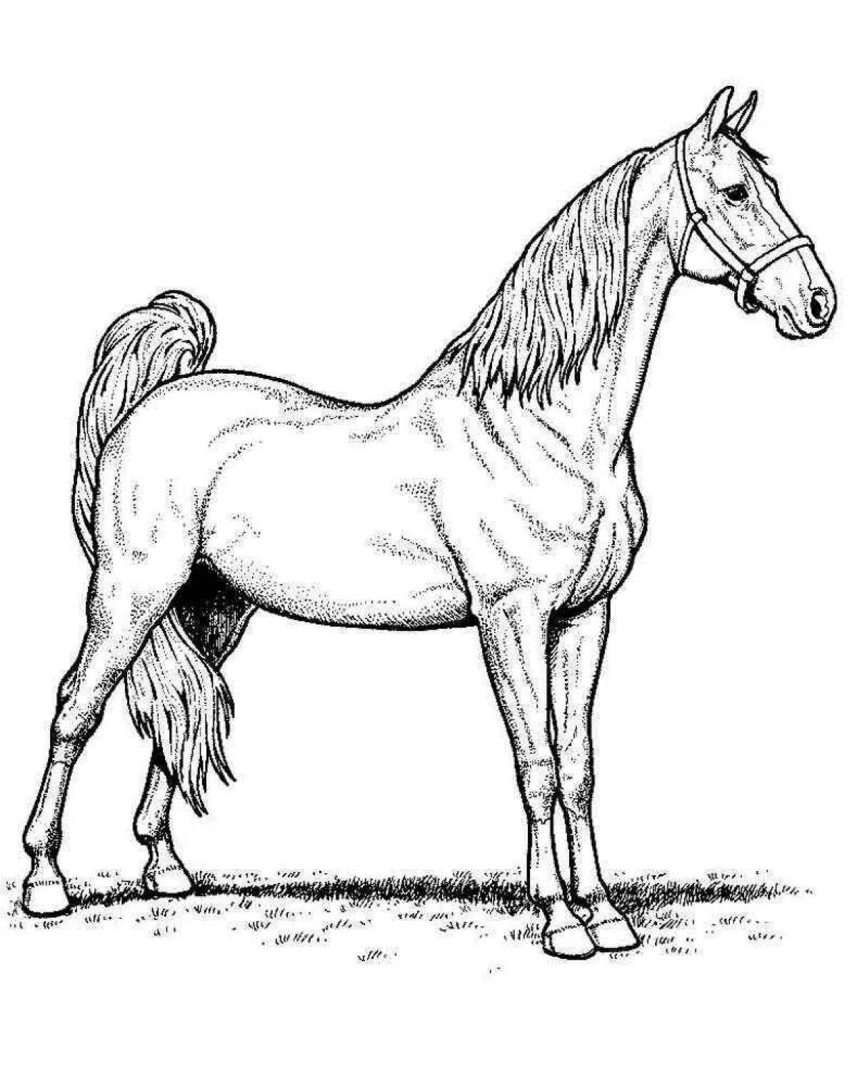 Великолепная раскраска лошадь реалистичная