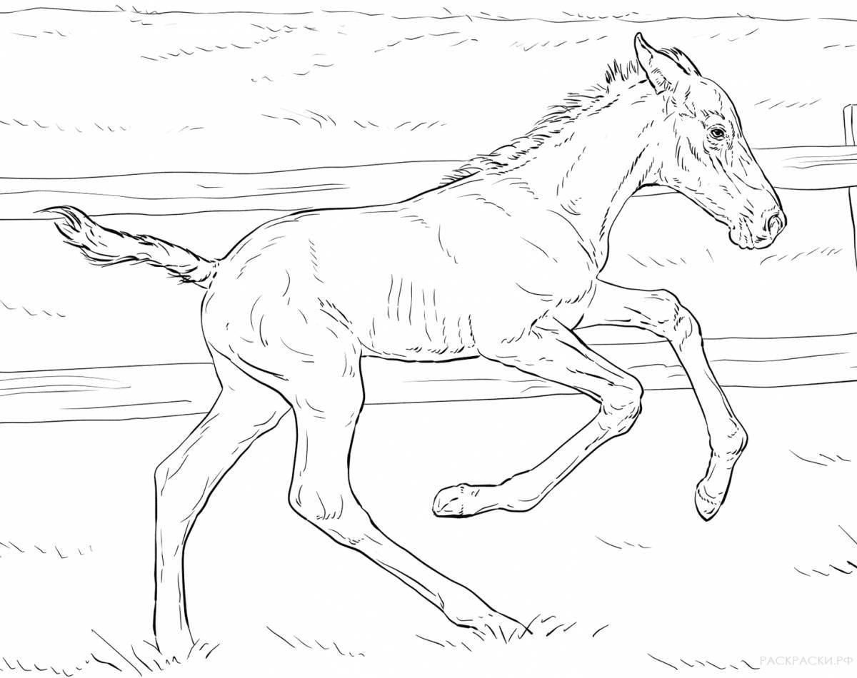 Radiant coloring page horse realistic