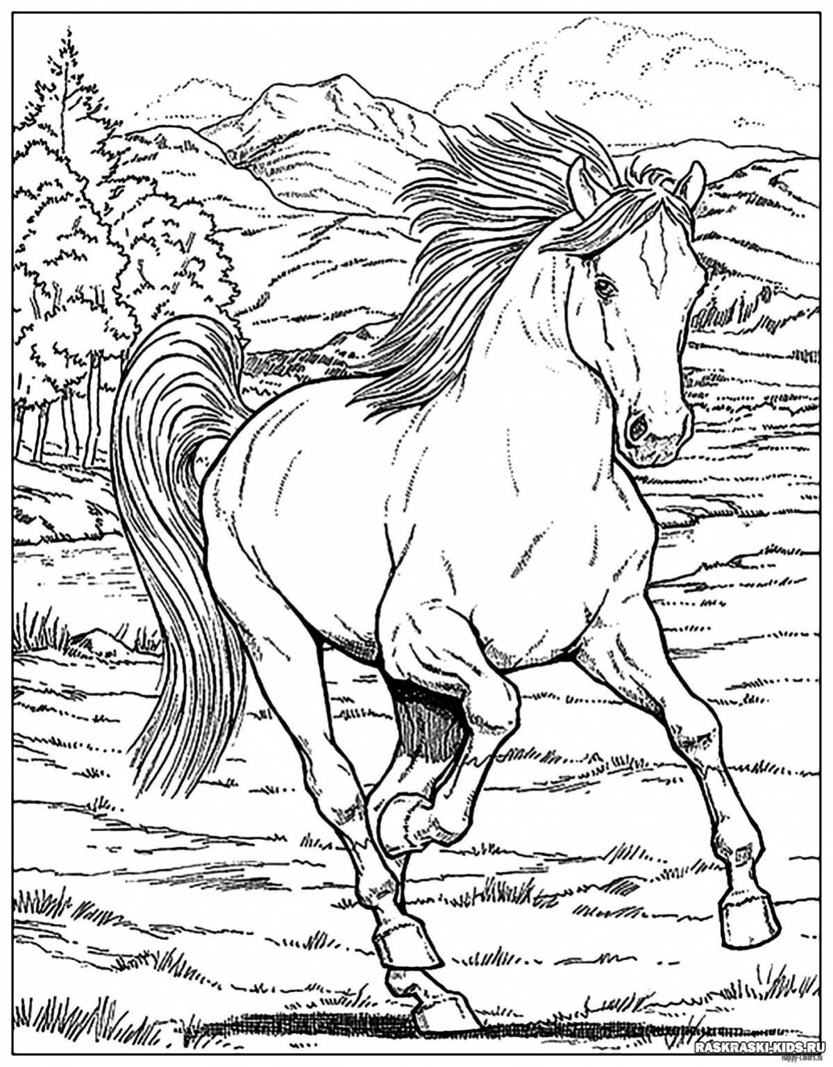 Роскошная раскраска лошадь реалистичная
