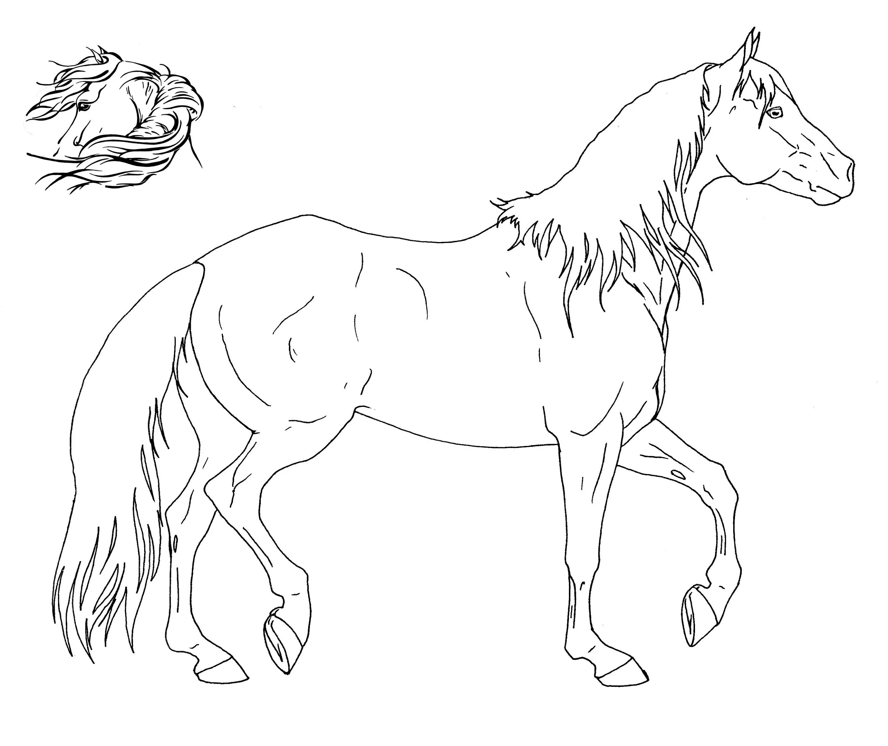 Serene раскраска лошадь реалистичная
