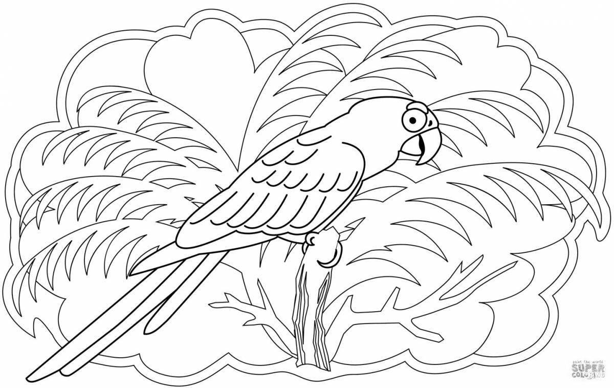 Красочная раскраска попугай