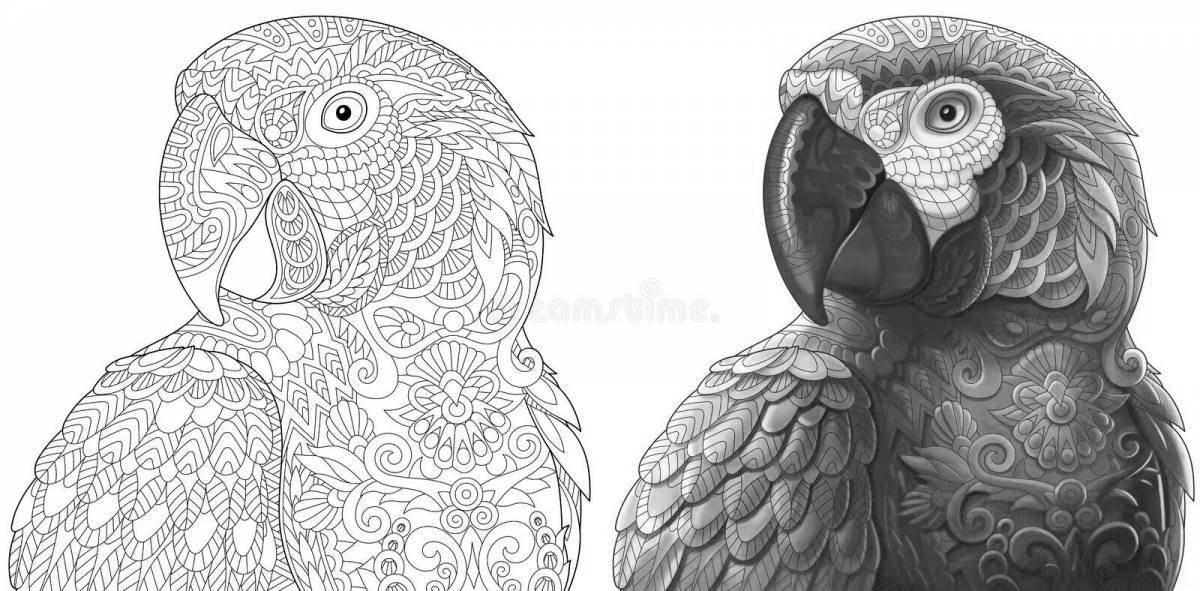 Потрясающая раскраска попугай