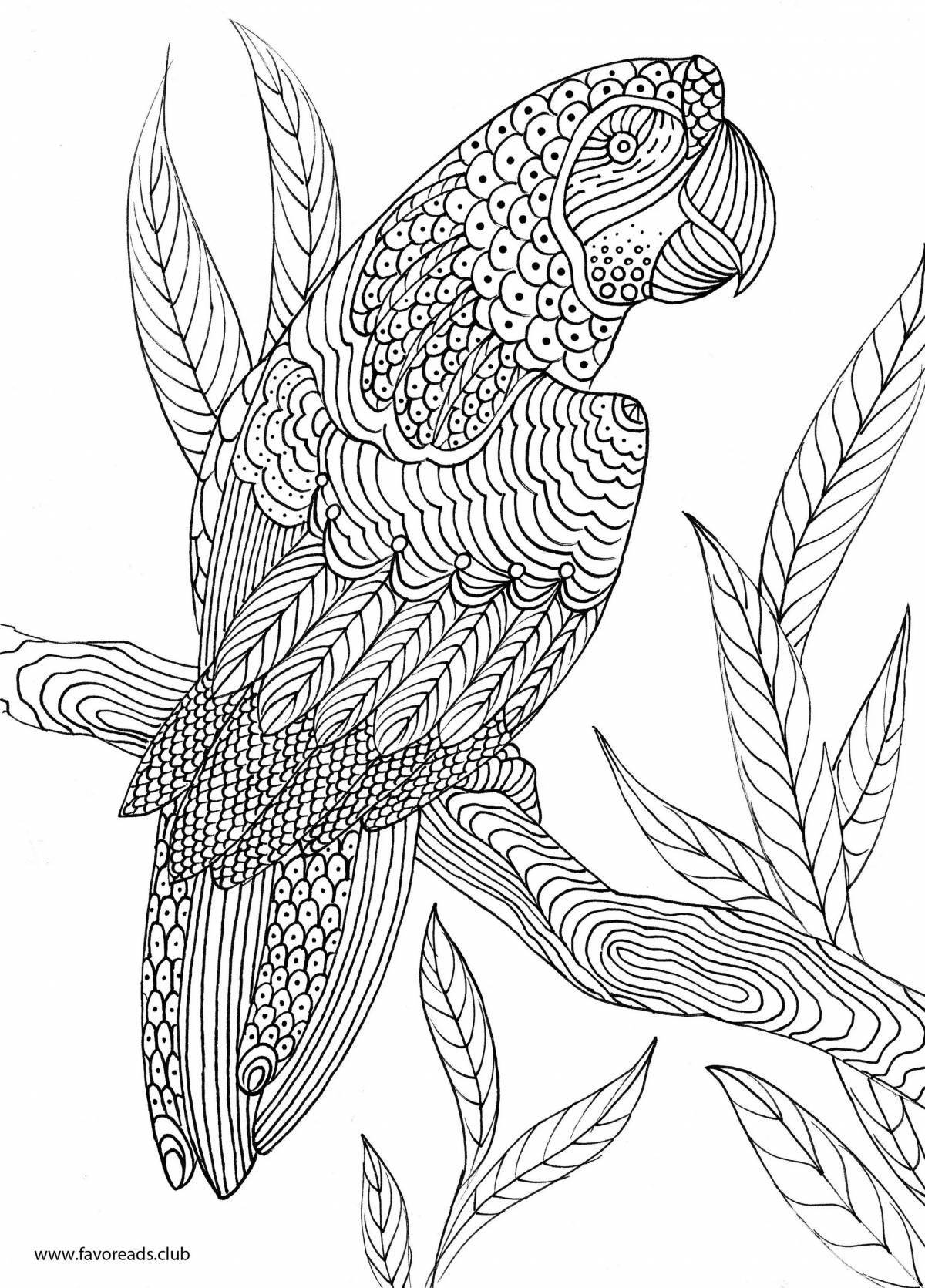 Великолепно раскрашенная раскраска попугай