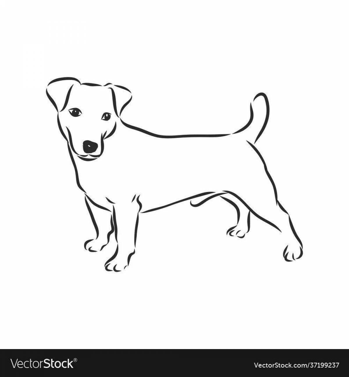 Дружелюбная раскраска собака джек рассел терьер