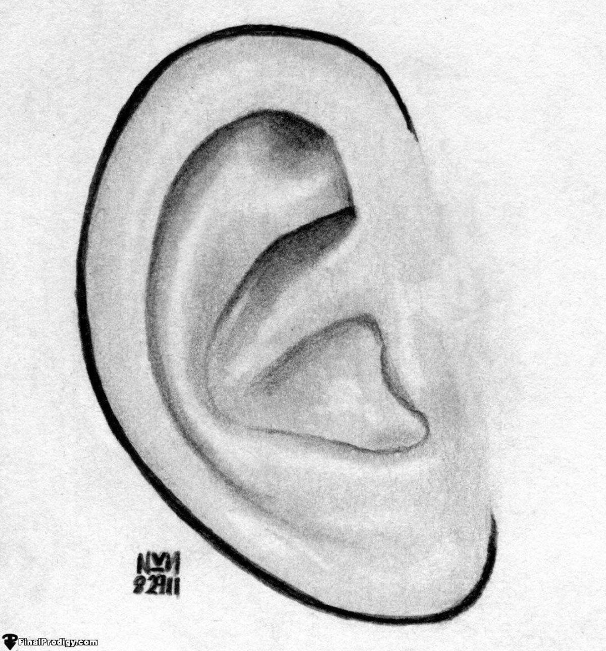 Яркая раскраска уха для самых маленьких