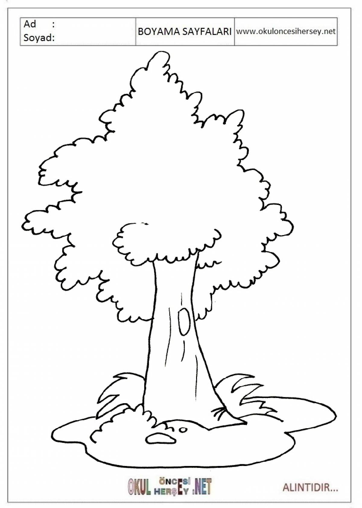 Дерево для детей 3 4 лет #14