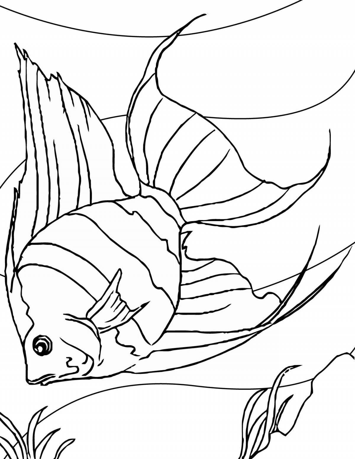 Мерцающая аквариумная рыбка раскраска для детей