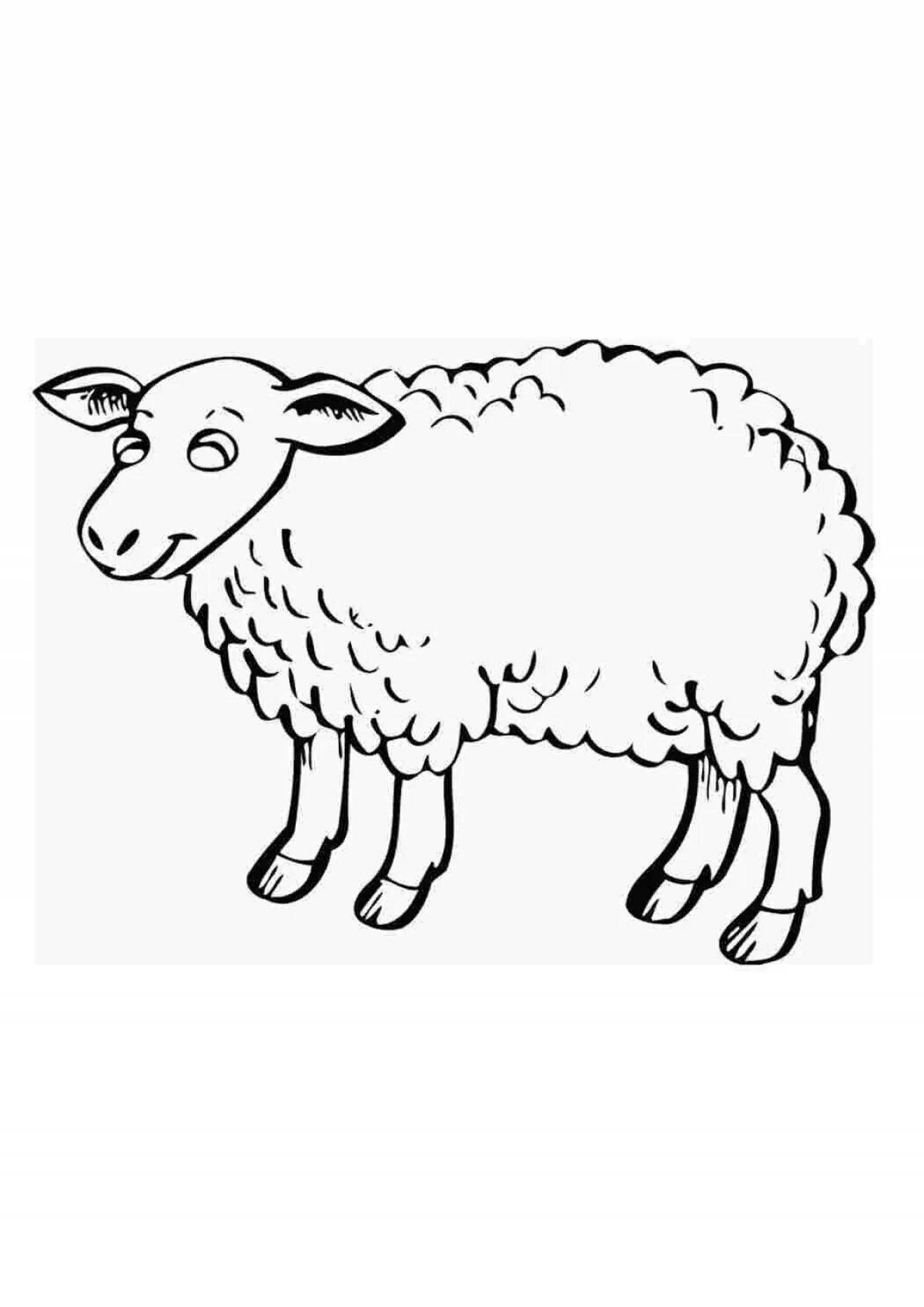 Веселая раскраска овечка для детей 5-6 лет