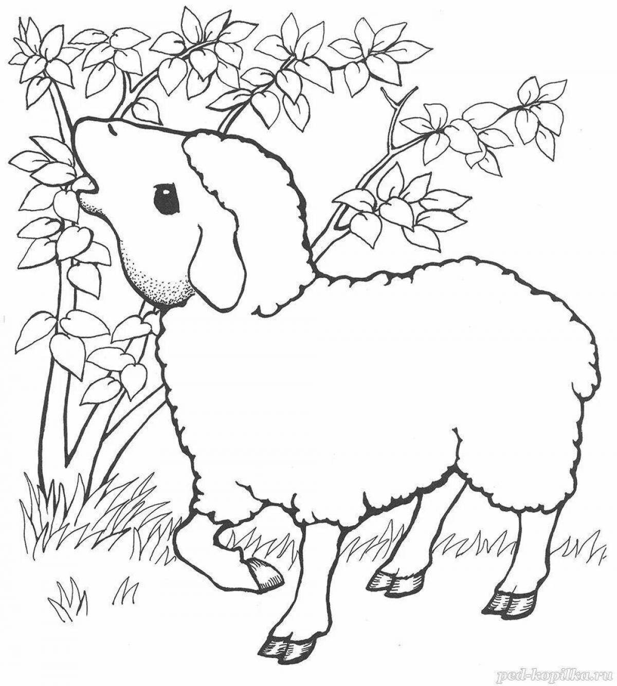 Великолепная овечка-раскраска для детей 5-6 лет