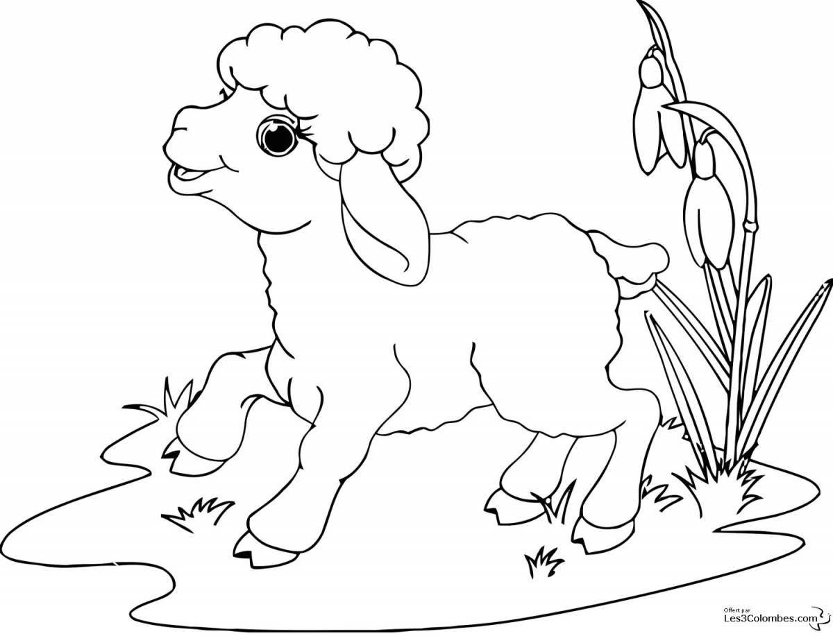 Раскраска сияющая овца для детей 5-6 лет