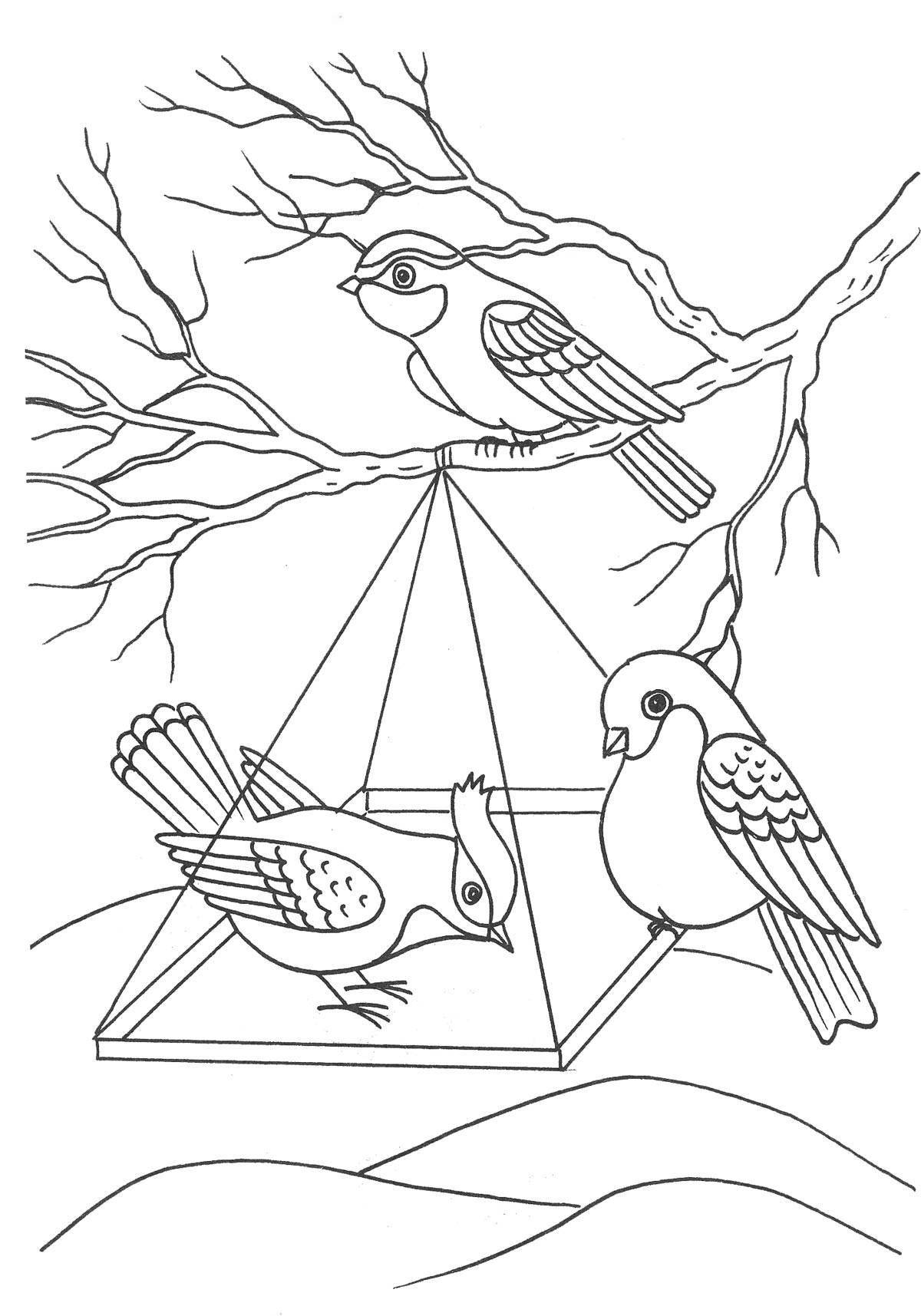 Красочная страница раскраски кормушка для птиц для детей