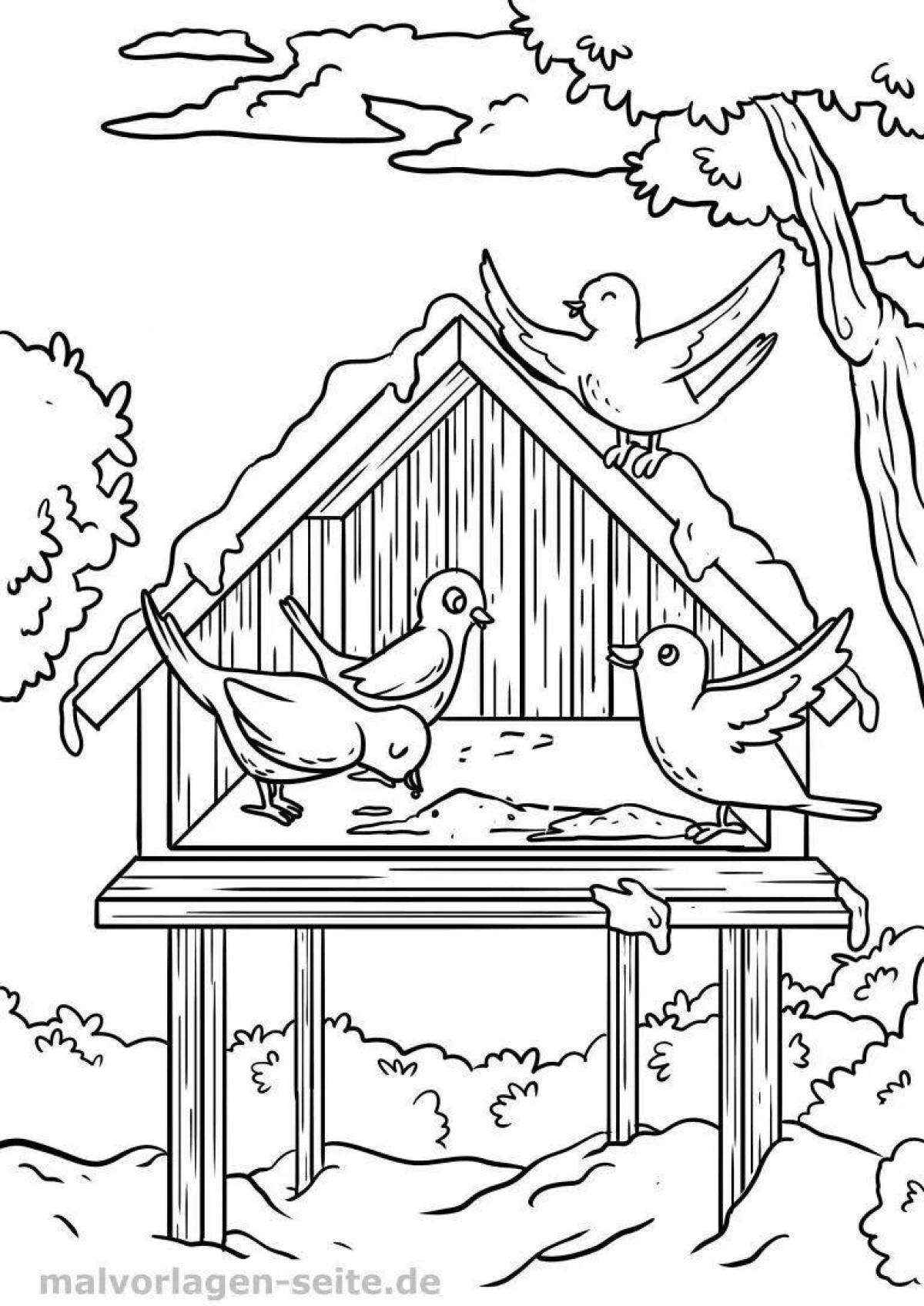 Веселая раскраска кормушка для птиц для детей