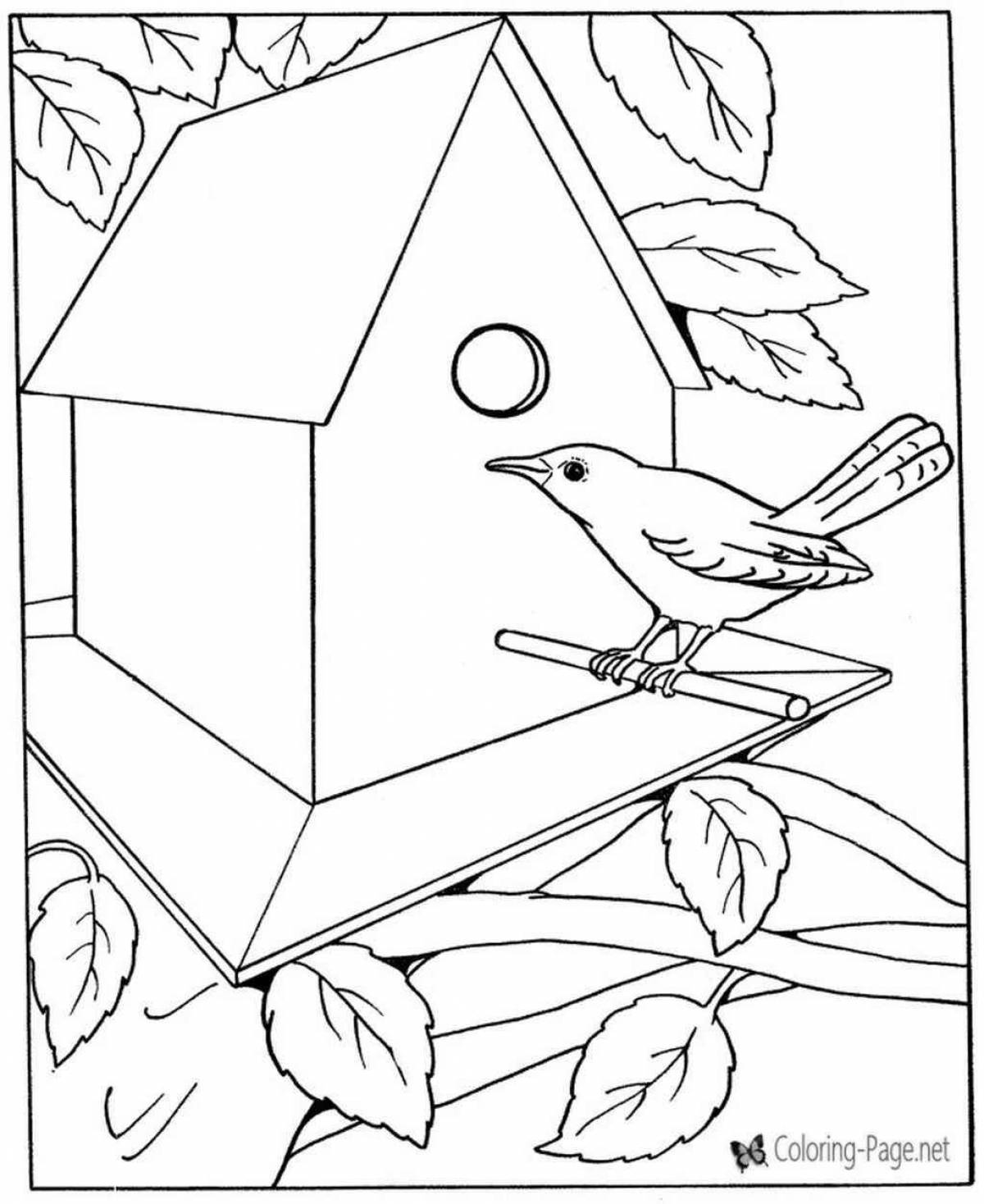 Удивительная страница раскраски кормушка для птиц для самых маленьких