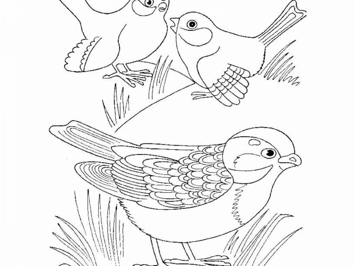 Выдающаяся страница раскраски птиц для 1 класса