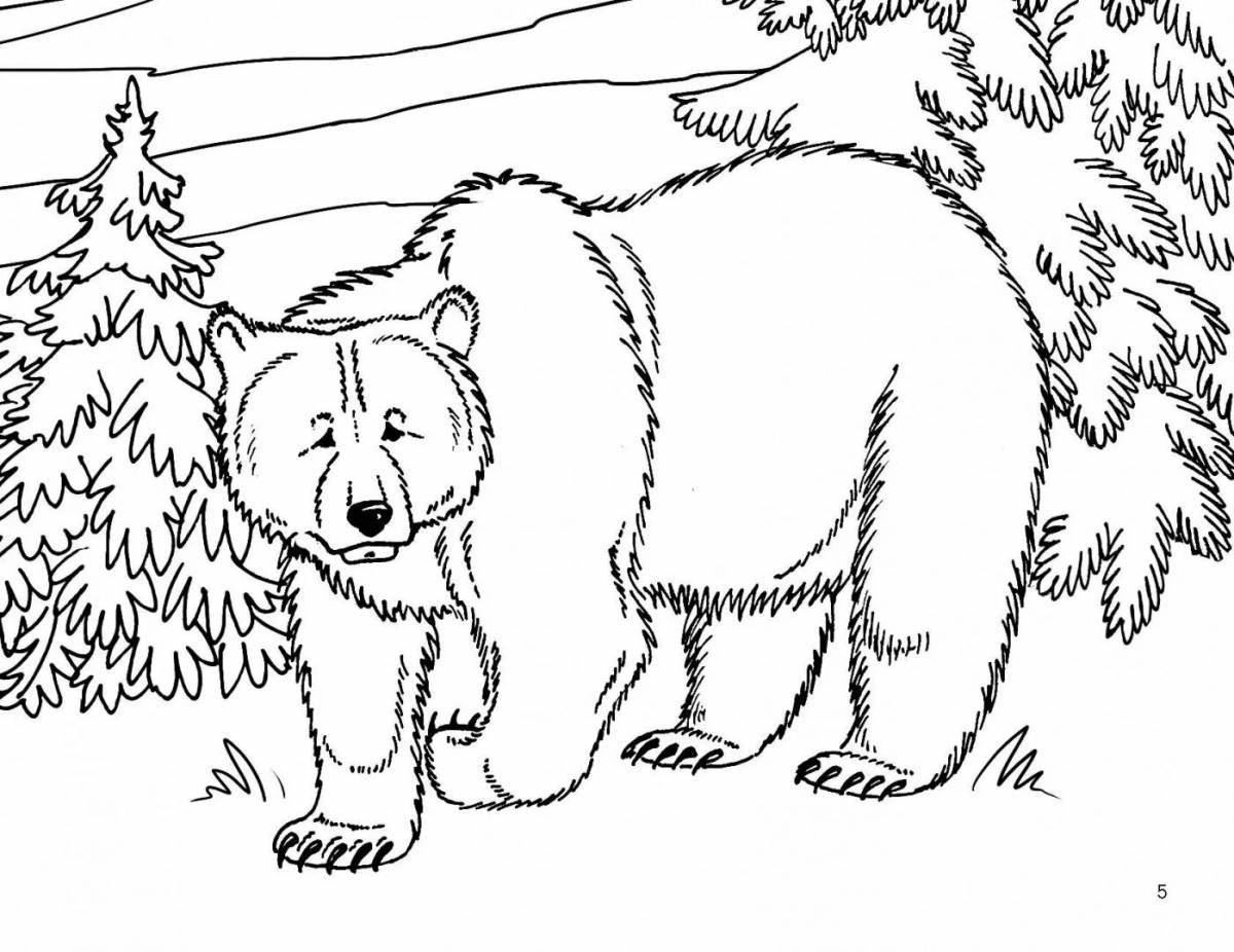 Снежная раскраска медведь зимой