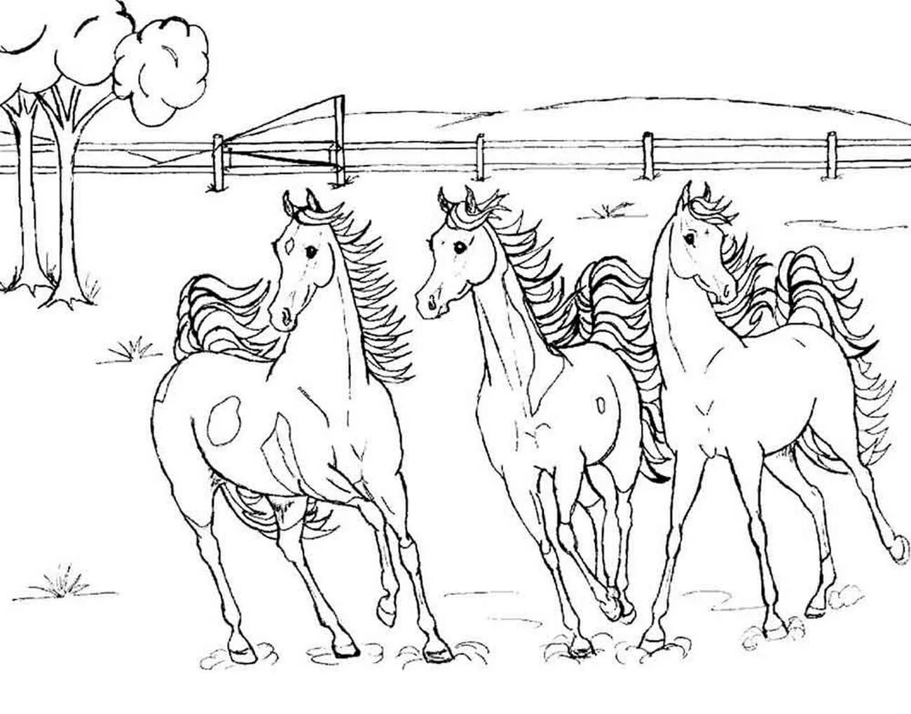 Раскраска элегантное трио лошадей