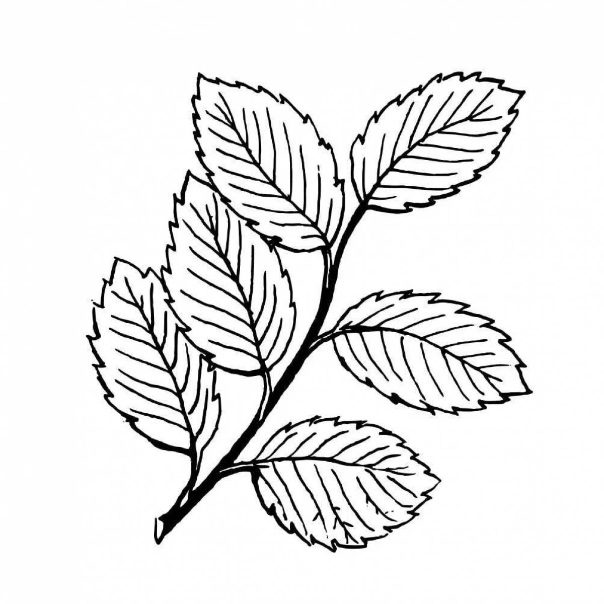 Восхитительная страница раскраски листьев рябины