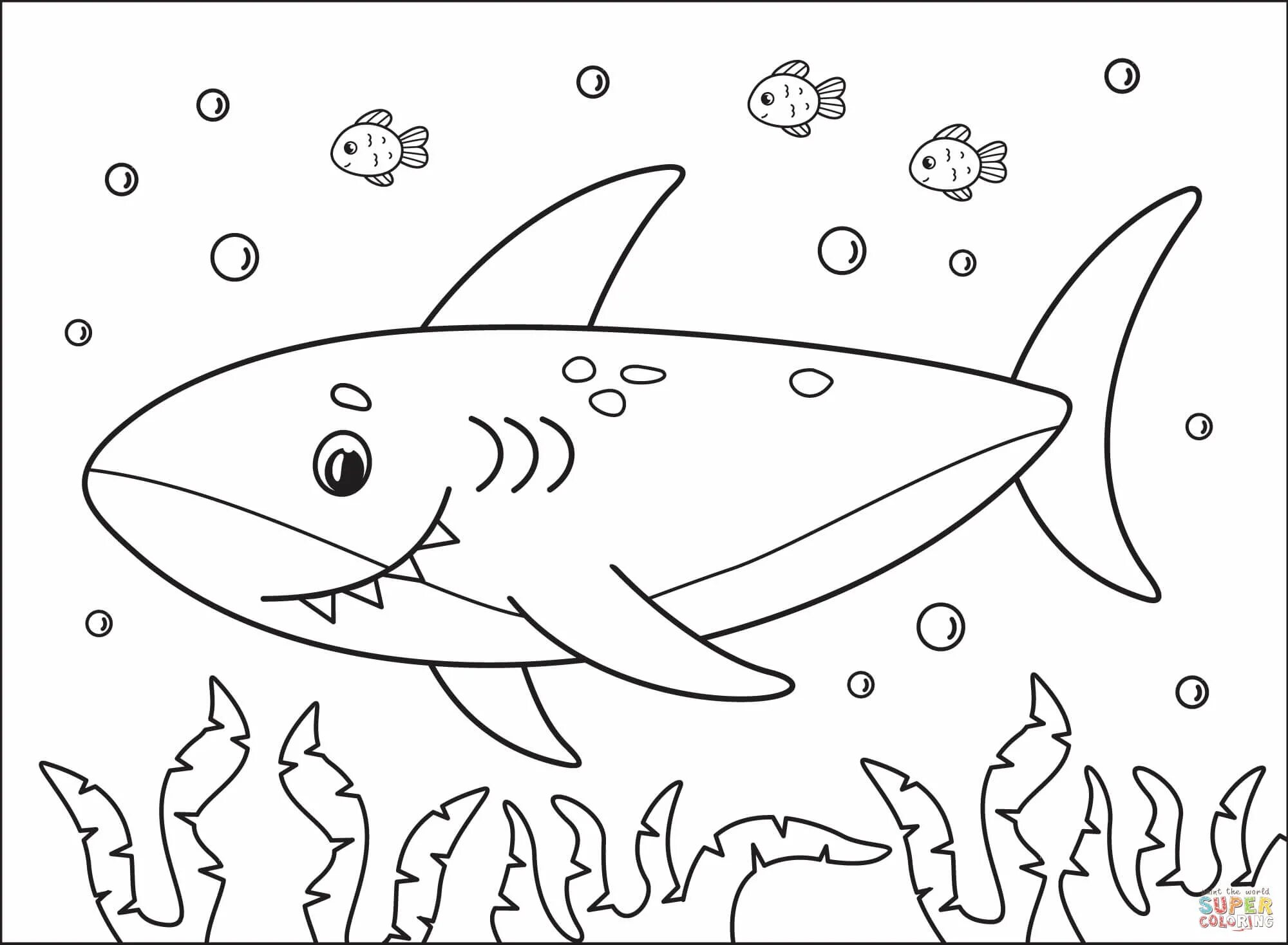 Для малышей акула #11